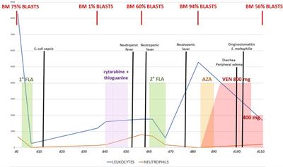 Case report: Venetoclax therapy in a boy with acute myeloid leukemia in Shwachman Diamond syndrome